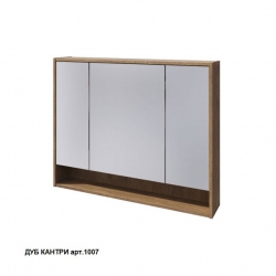  Шкаф зеркальный 100